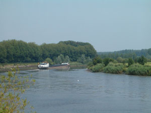 scheldebocht